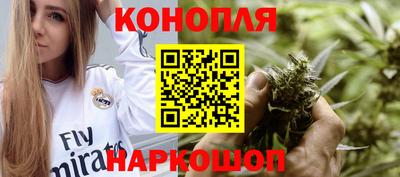 индика Славгород