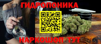 СК Сланцы