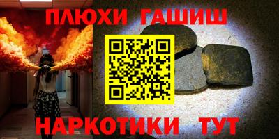 индика Славгород